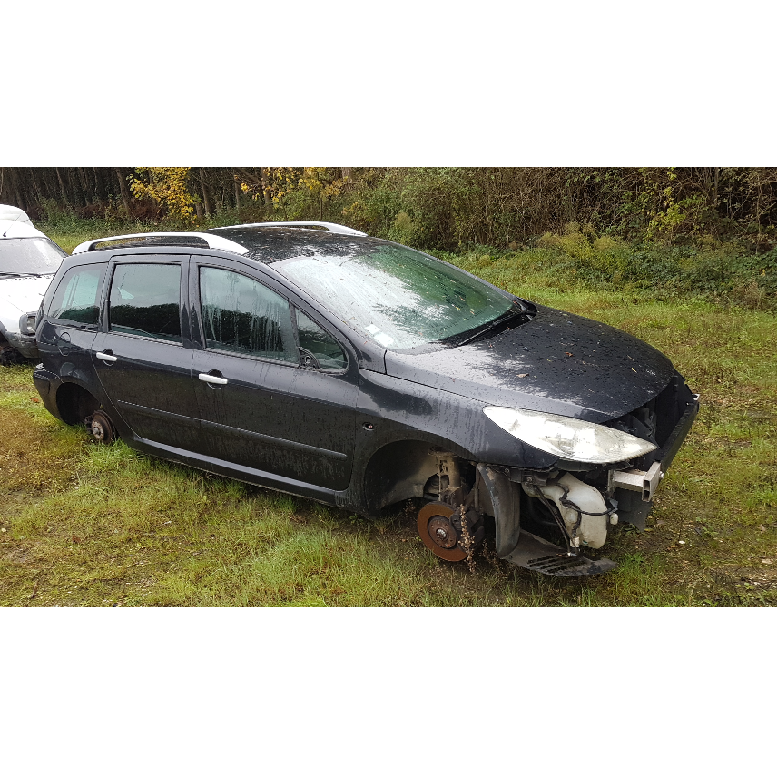 Peugeot 307 SW multiples pièces