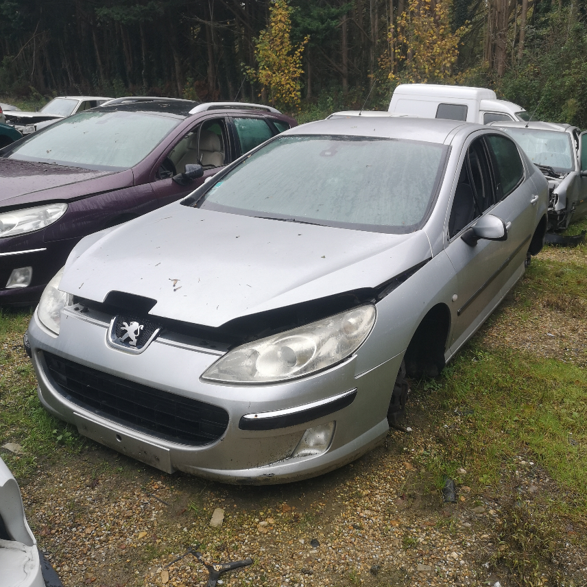 Peugeot 407 berline & break